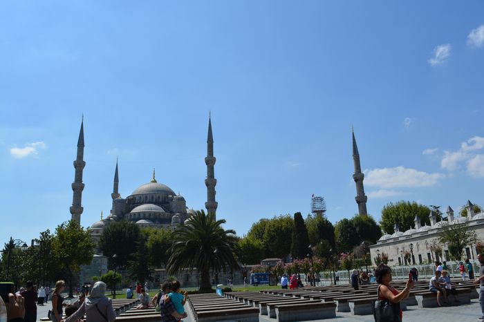 Constantine to move swiftly