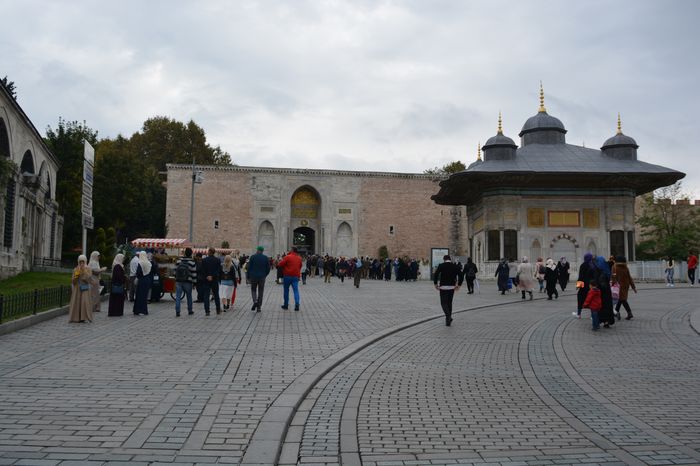 Dacius swore a purple