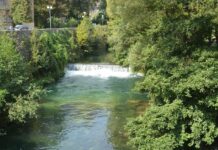 Evidence from Leonard of Scio