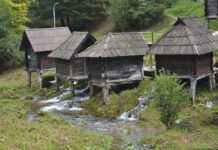 The Harbour of Kaisarius and the Neorion at the Heptascalon