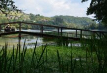 Growth of Hellenistic Cities